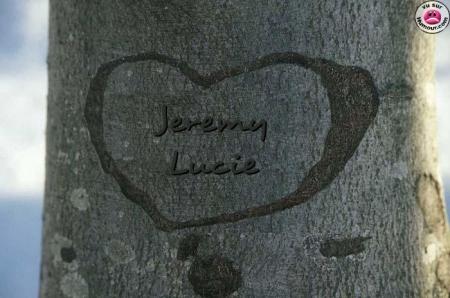 Jeremy Love Lucie