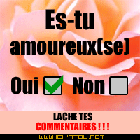 amoureu(x)(euse)??